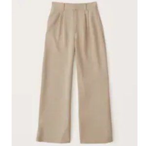 Abercrombie and Fitch Tailored Wide Leg Trousers (Medium, Beige)